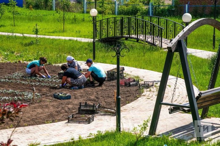 Больше 150 тыс. граждан проголовали за благоустройство объектов в Татарстане