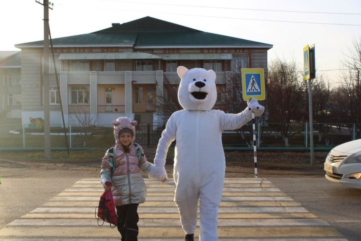 В Татарстане проходит профилактическая операция «Пешеход»