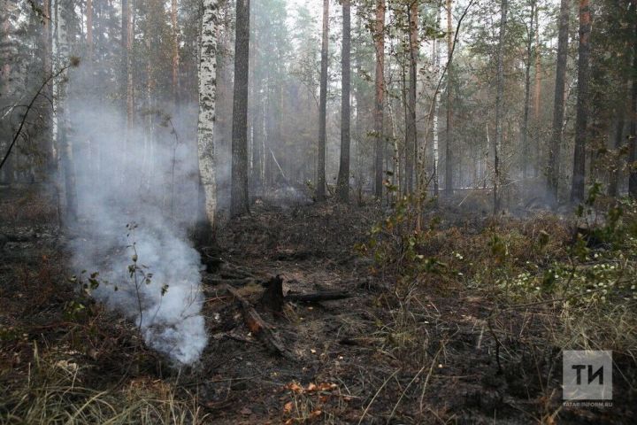 Из-за высокой пожароопасности лесов в Татарстане объявлено штормовое предупреждение