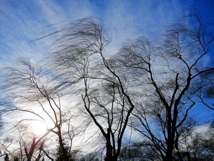 Сильный ветер до 18 м/с ожидается в Татарстане 4 апреля