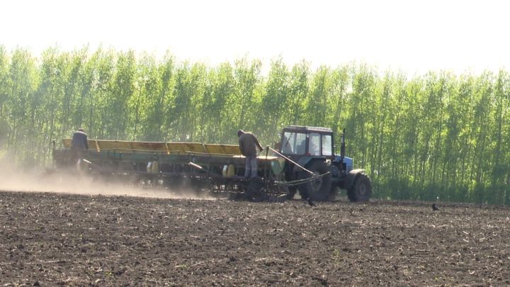 В Нурлатском районе сев яровых культур завершен на 45 процентах запланированных площадей