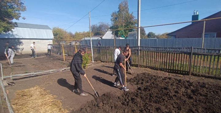 Нурлатские студенты помогли вдове ветерана ВОВ подготовить к зиме приусадебный участок