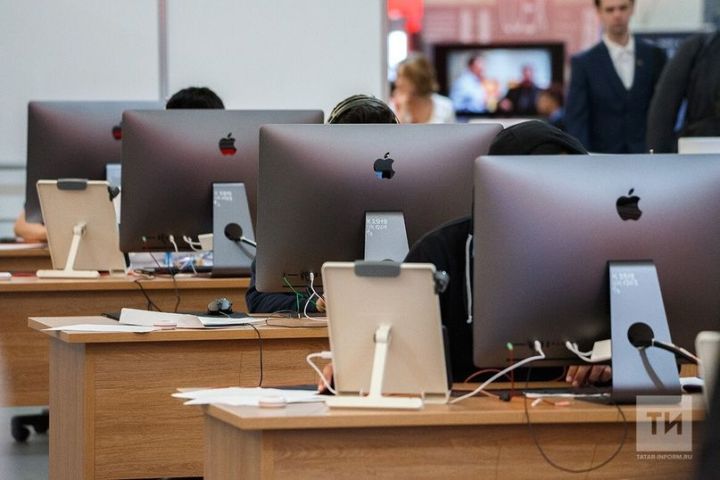 Участники СВО смогут через центры занятости обучиться и открыть свое дело