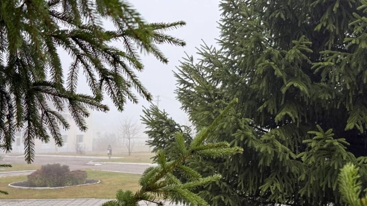 В Татарстане 21 ноября ожидаются туман и гололедица