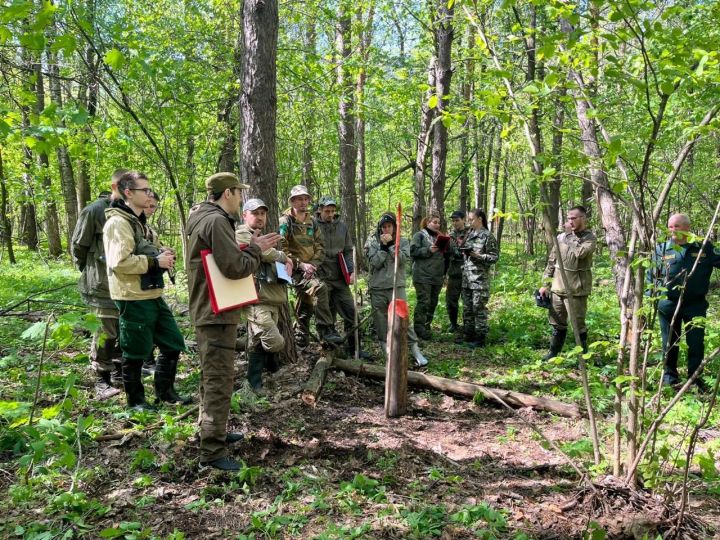 В Татарстане завершается сезон агротехнического ухода за лесными культурами