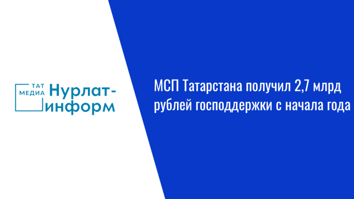 МСП Татарстана получил 2,7 млрд рублей господдержки с начала года