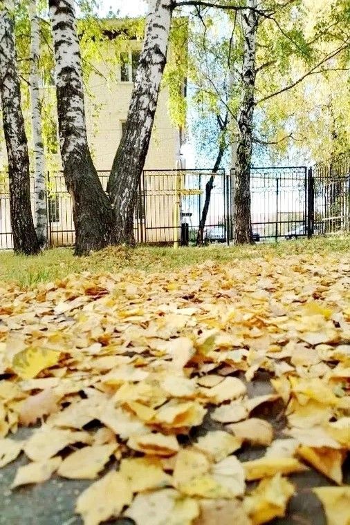 Прогноз погоды в Нурлате на 17 октября 2026 года