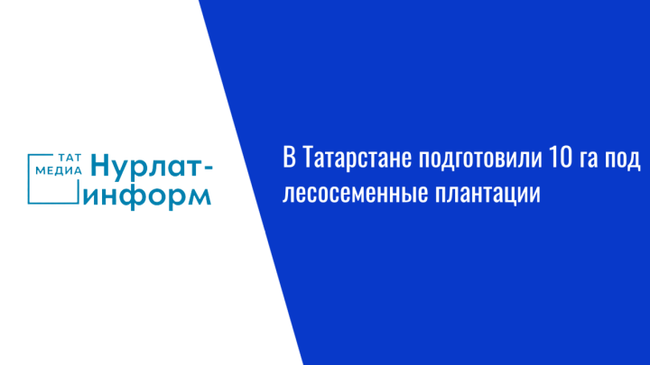В Татарстане подготовили 10 га под лесосеменные плантации