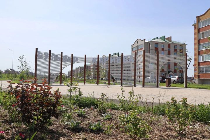 Всемирный день кошек и День цукини: праздники 8 августа