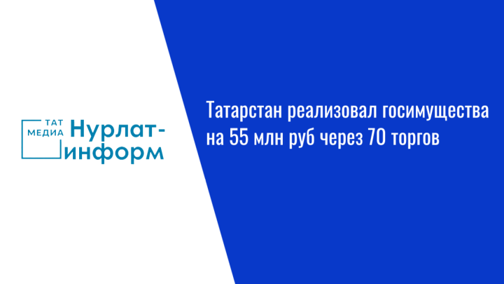 Татарстан реализовал госимущества на 55 млн руб через 70 торгов
