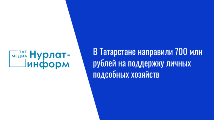 В Татарстане направили 700 млн рублей на поддержку личных подсобных хозяйств