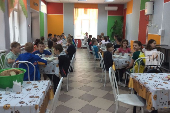 В Татарстане в 2019 году стартует новая госпрограмма по капремонту и строительству детских лагерей