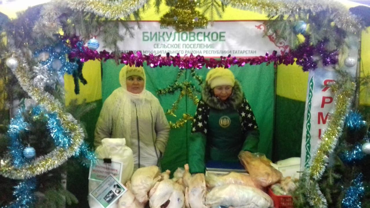 Очередная ярмарка в Казани: торговые ряды нурлатцев получили положительную оценку Президента