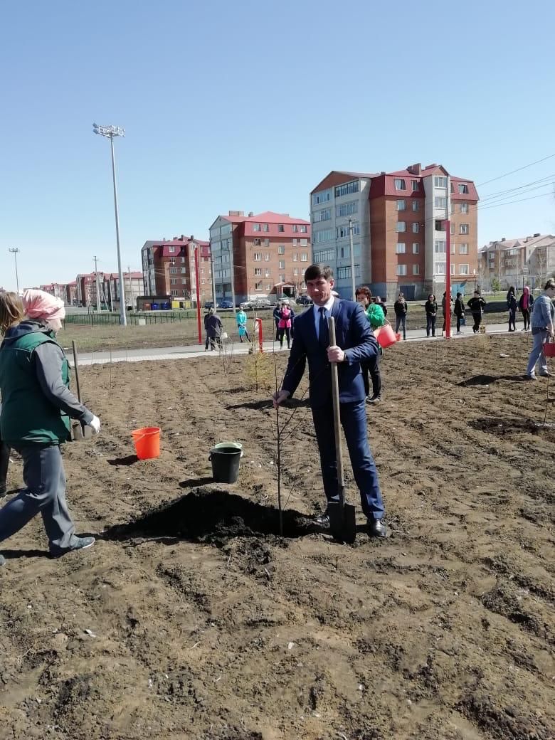Нурлатцы посадили более 800 саженцев в парке «Спортивный» и на территории КДЦ «Грани» 