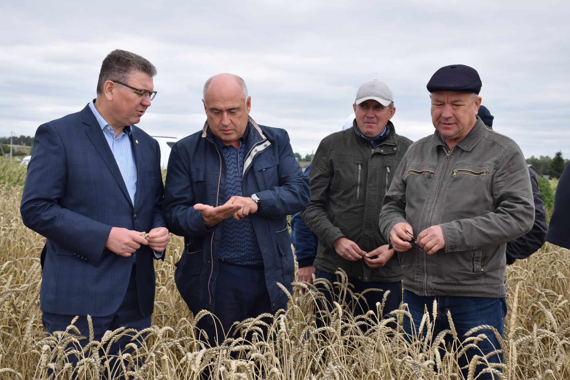 Заместитель министра дал высокую оценку состоянию полей Нурлатского района