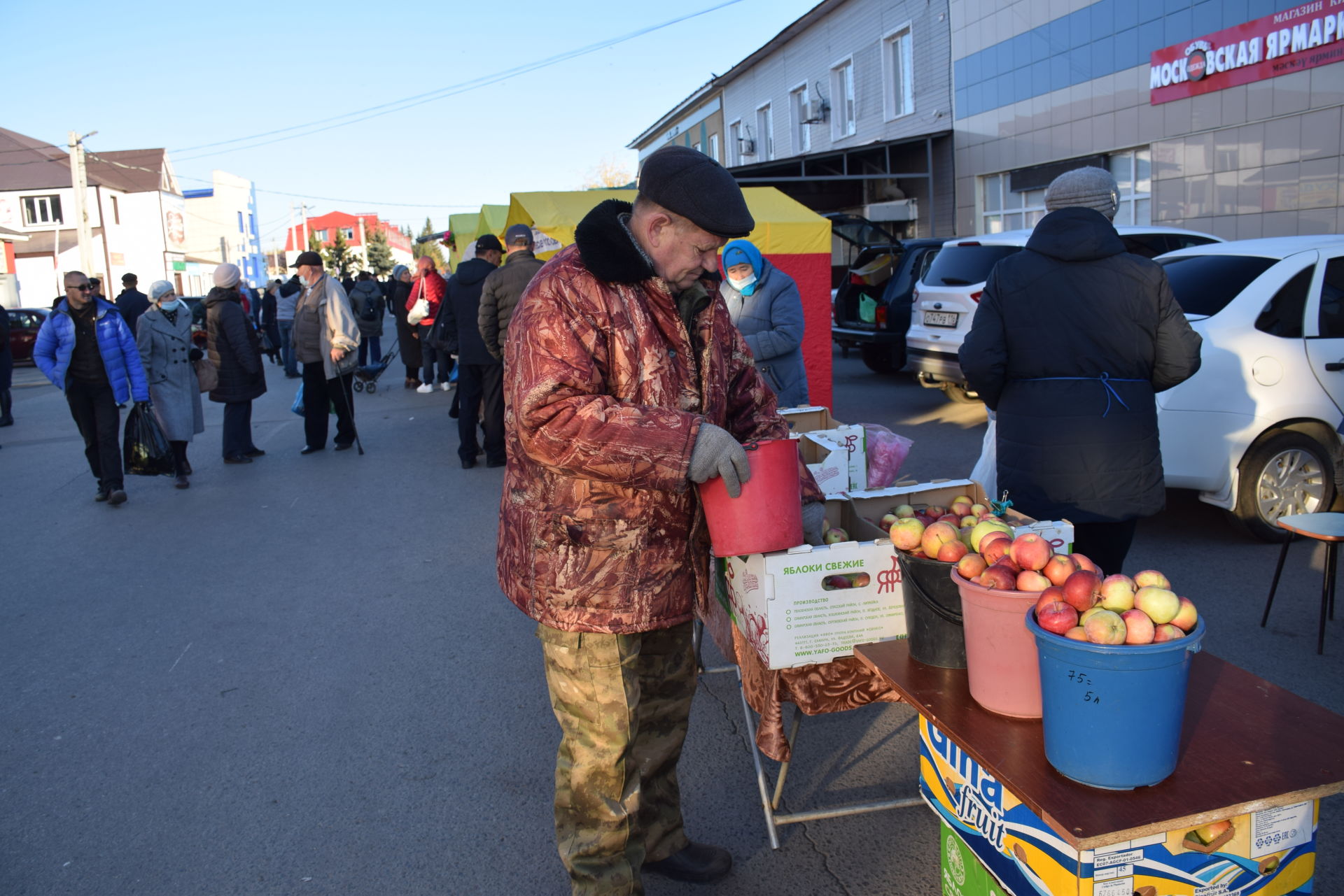 Широкий ассортимент сезонной продукции представили на сельскохозяйственной ярмарке в Нурлате