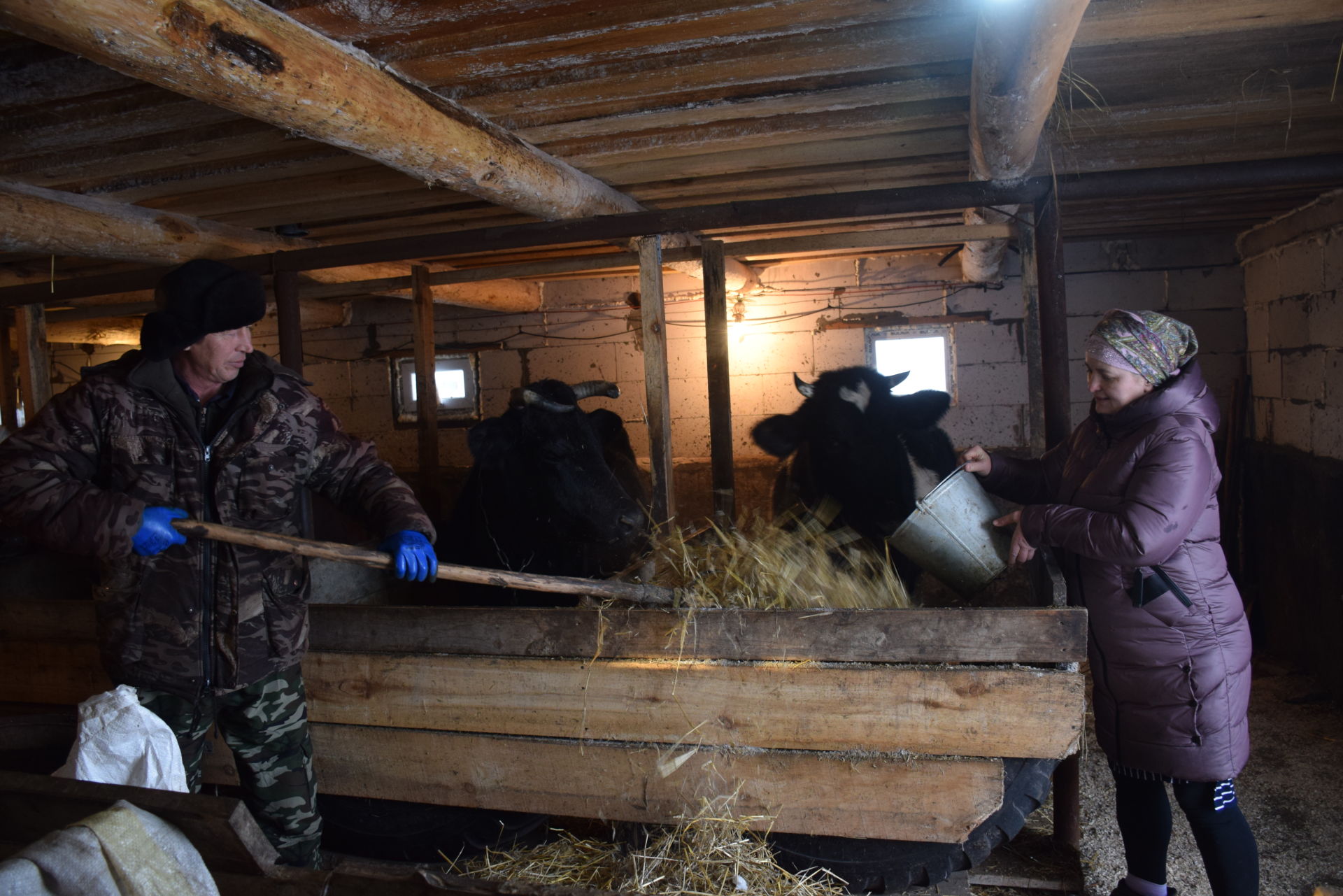 Кривоозерцы Киямовы клички своим подопечным коровам выбирают с особым смыслом