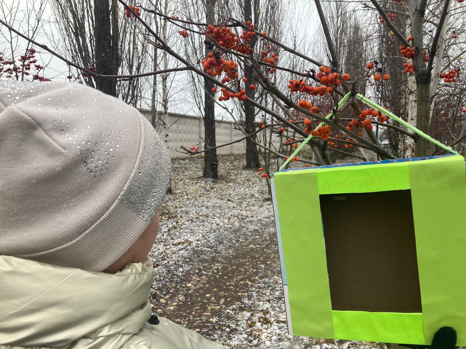 Юные нурлатцы приняли участие в акции «Синичка – невелика птичка»