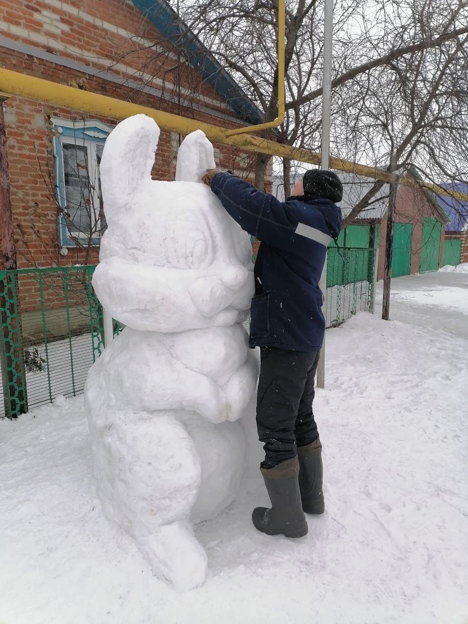 Во дворе дома Галиуллиных из Нурлатского района появился большой снежный  заяц