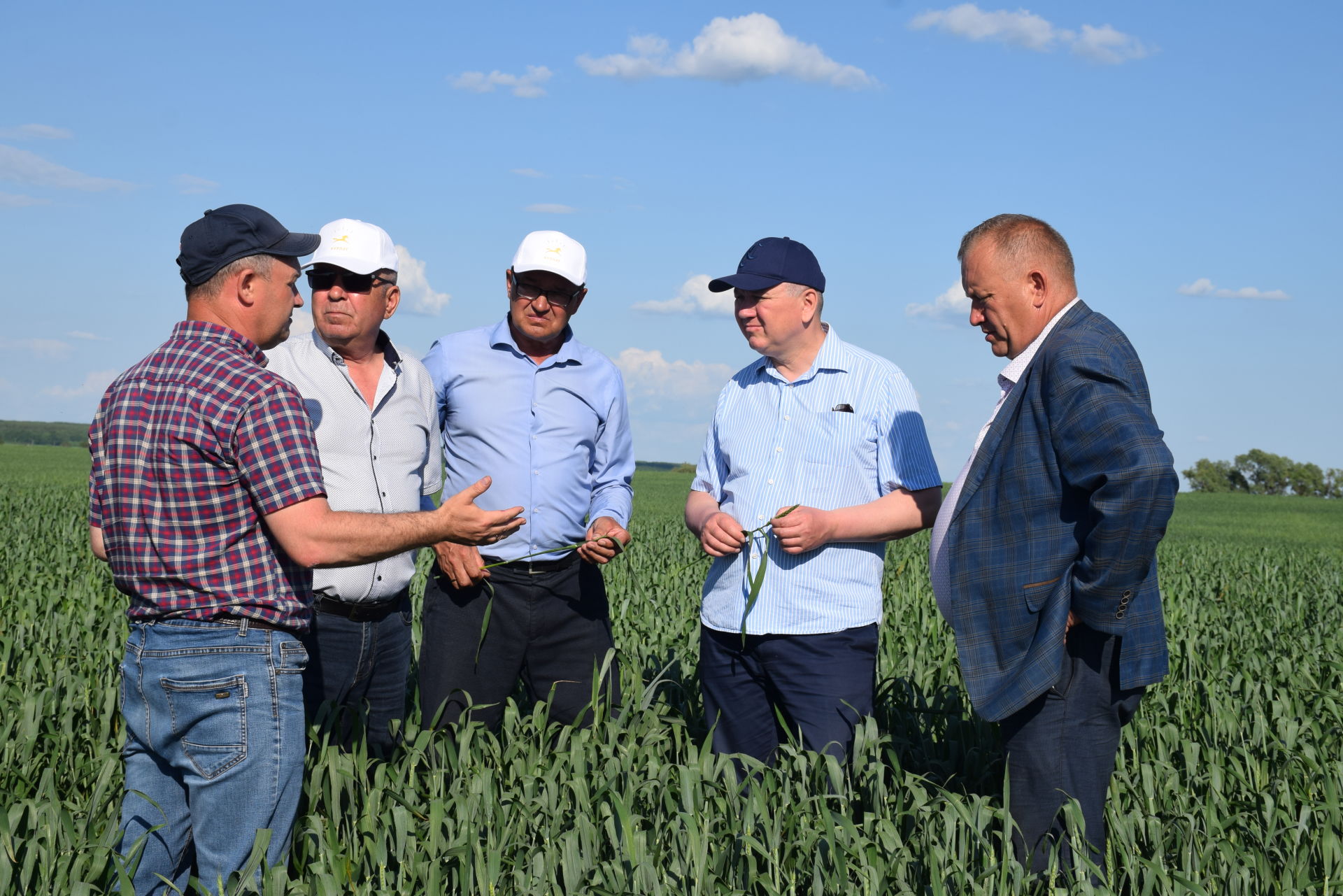 Глава района Алмаз Ахметшин посетил поля озимой пшеницы