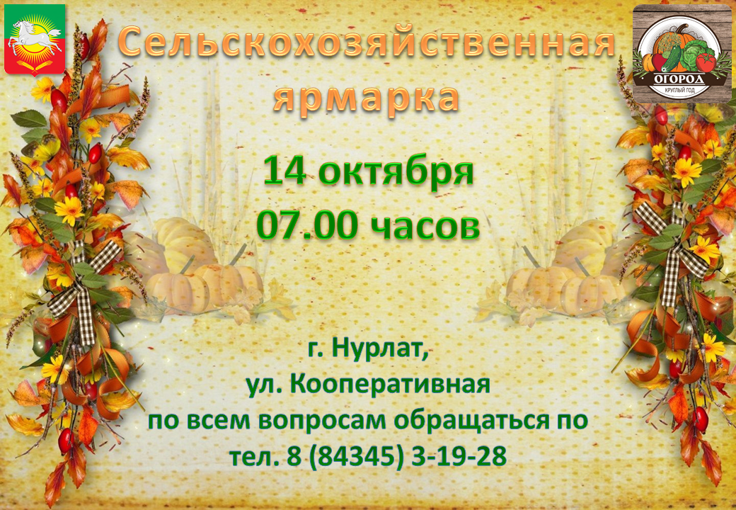 Очередная осенняя сельхозярмарка пройдет в Нурлате