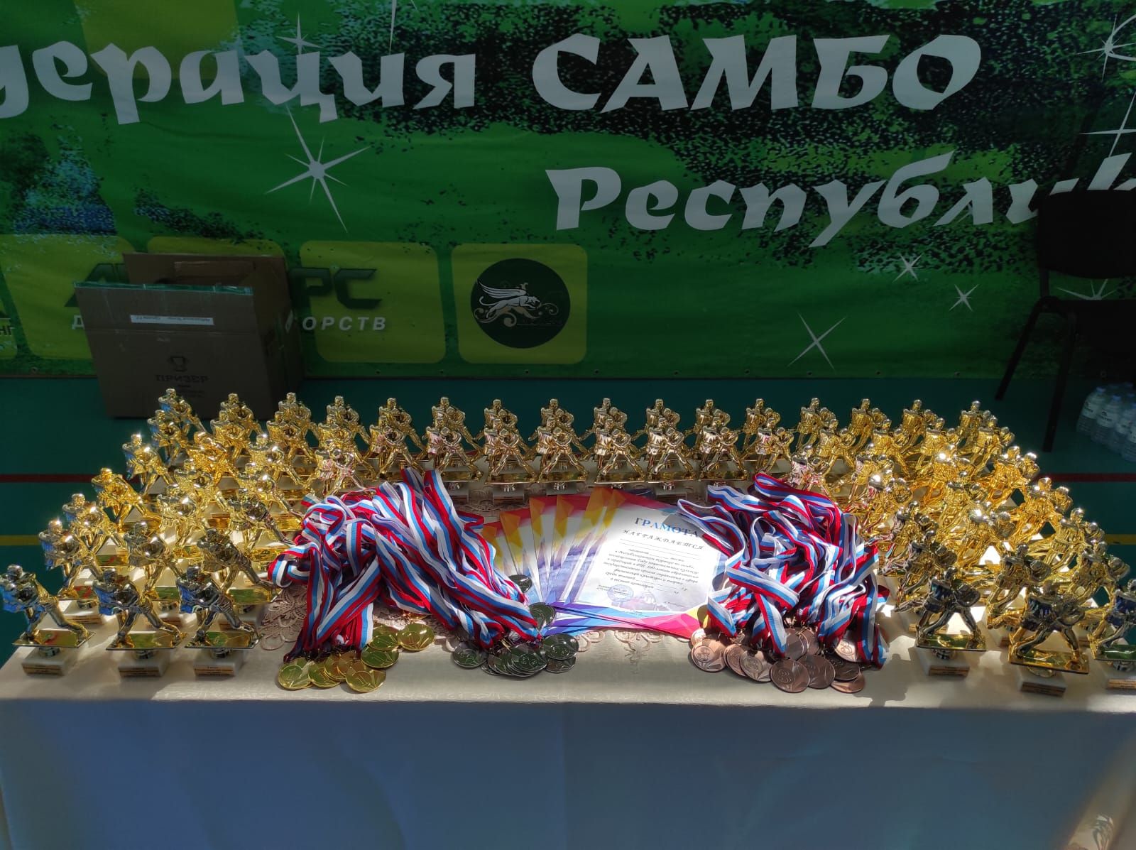 В Нурлате прошли соревнования самбистов из 15 районов Татарстана