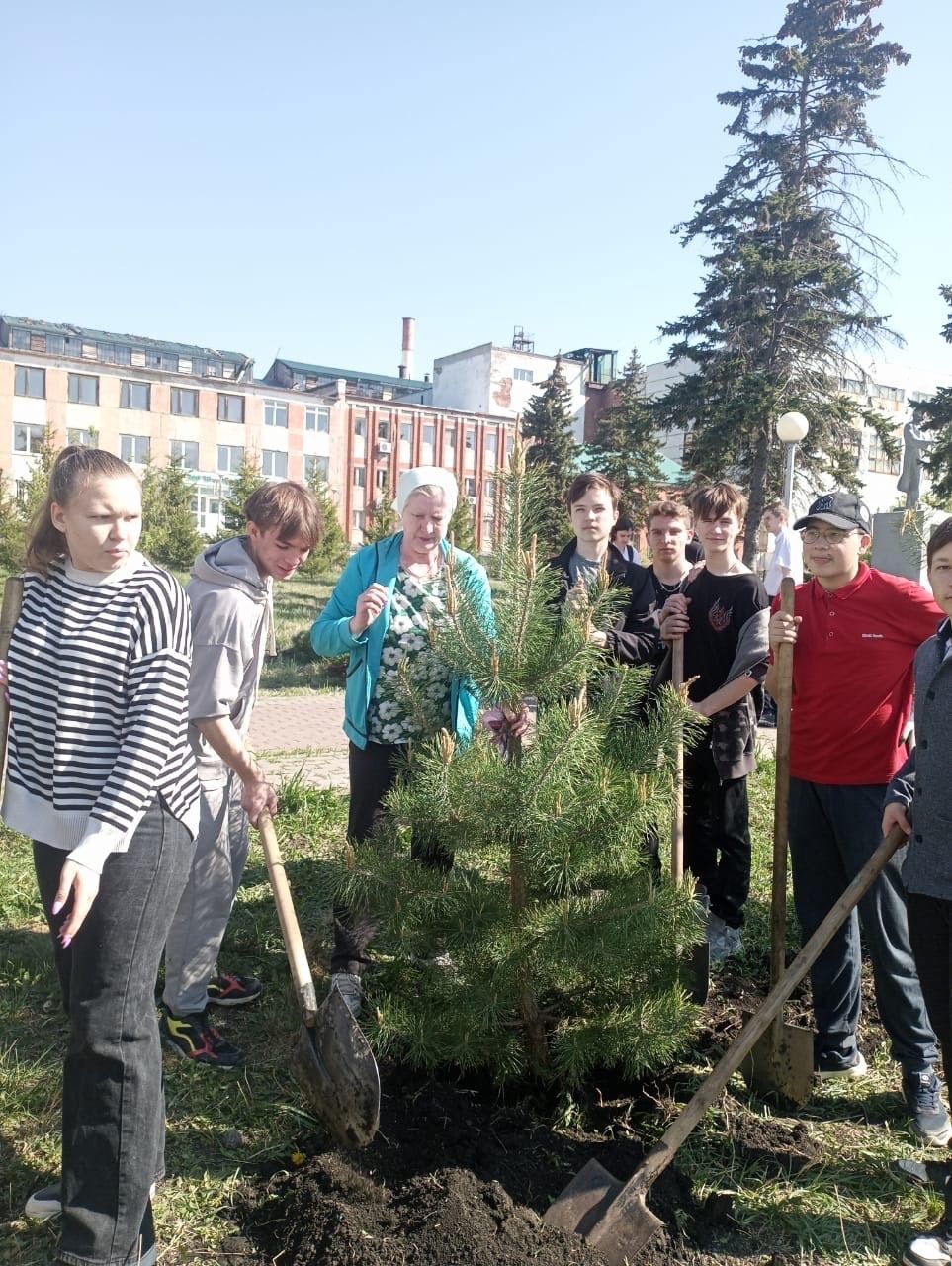 Нурлатские школьники высадили деревья