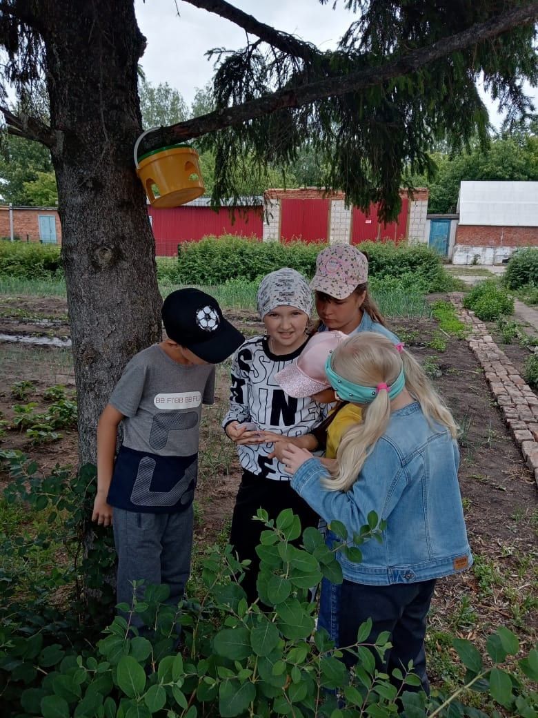 Юные нурлатцы принимают активное участие в жизни пришкольного лагеря