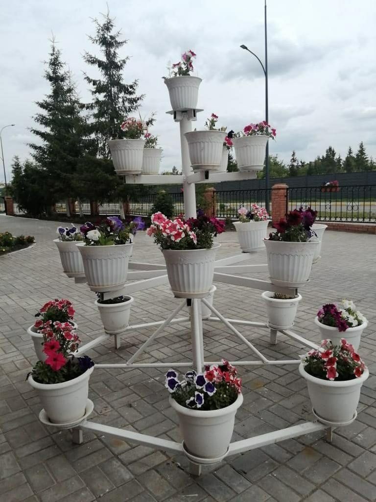 На территории Нурлатского дома-интерната для престарелых высадили 2 тыс цветов