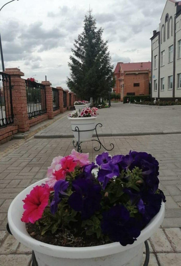 На территории Нурлатского дома-интерната для престарелых высадили 2 тыс цветов