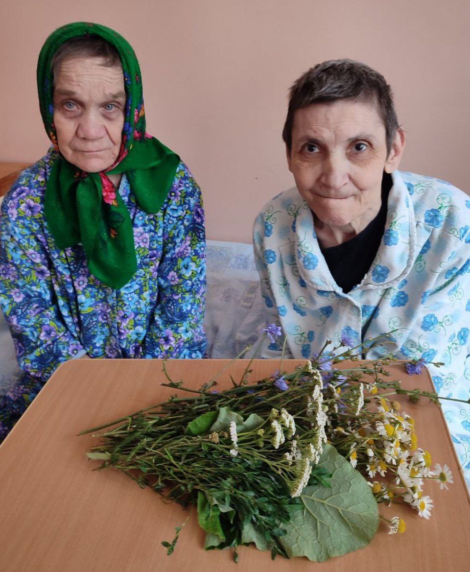 Пожилые люди Нурлатского дома-интерната изучают местные лекарственные растения