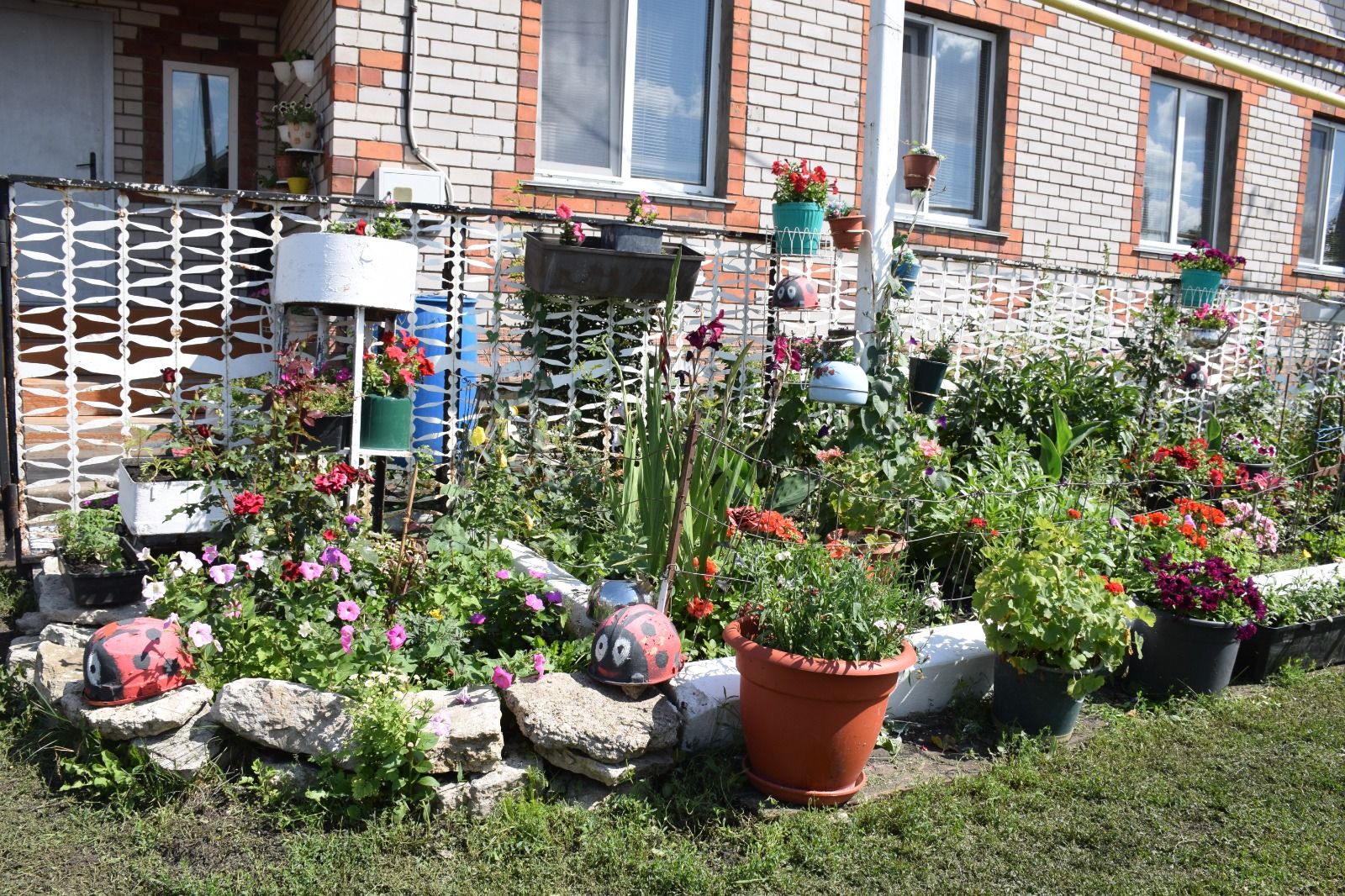 У дома семьи Галимовых из Нурлата на протяжении долгих лет разбиваются цветники
