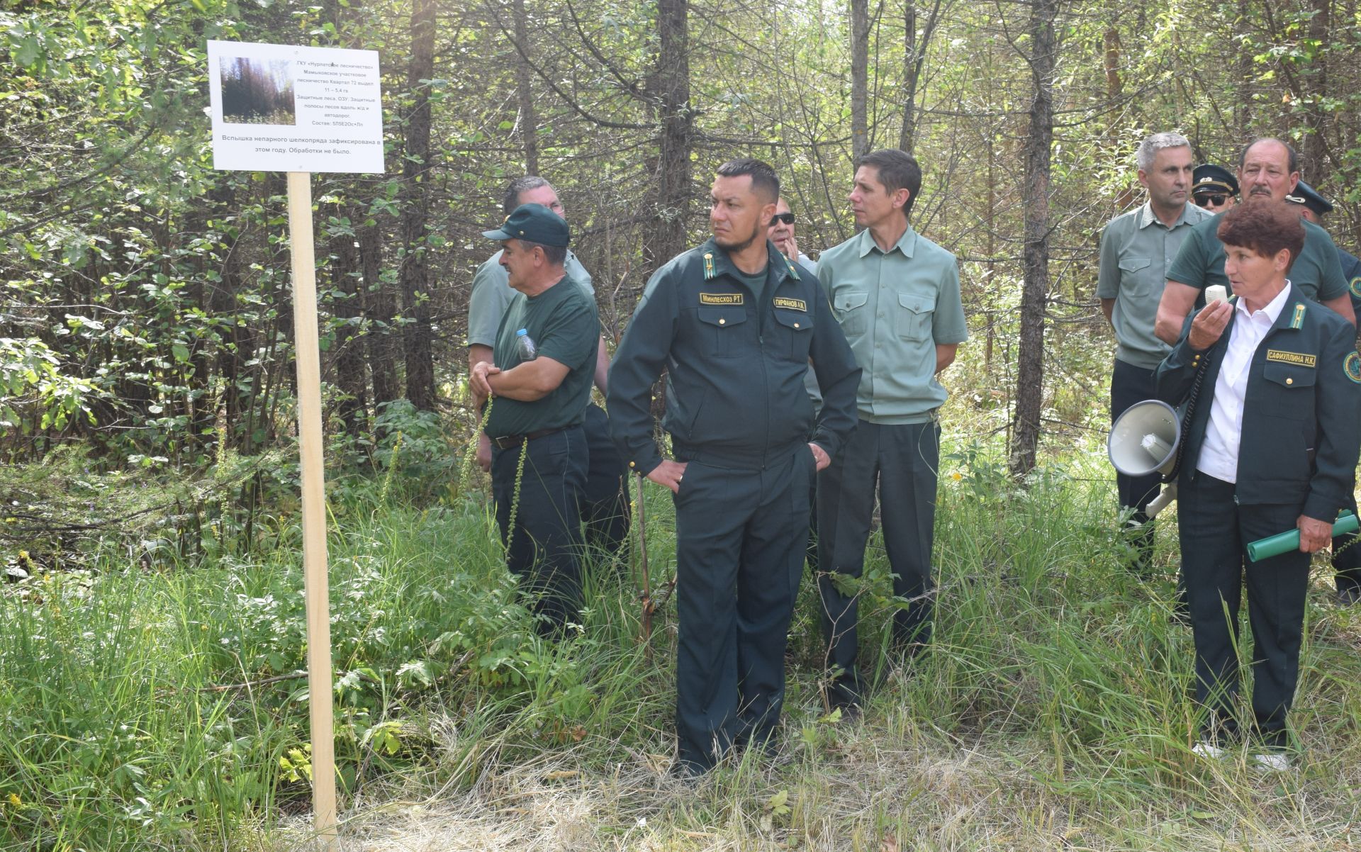 Лесничие Закамской зоны Татарстана искали в Нурлате способы борьбы с очагами непарного шелкопряда