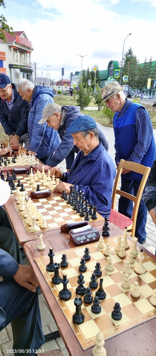 В Нурлате прошли турниры по шахматам и шашкам, посвященные Дню Республики Татарстан