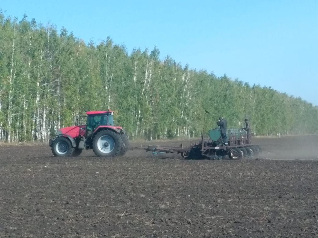 Работа на полях Нурлатского района продолжается