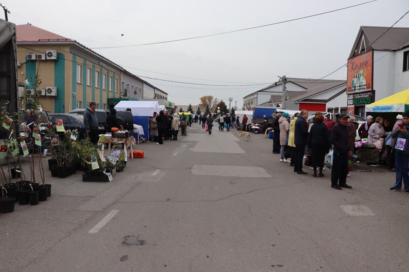 В Нурлате активисты Центра долголетия организовали благотворительную ярмарку в помощь участникам СВО