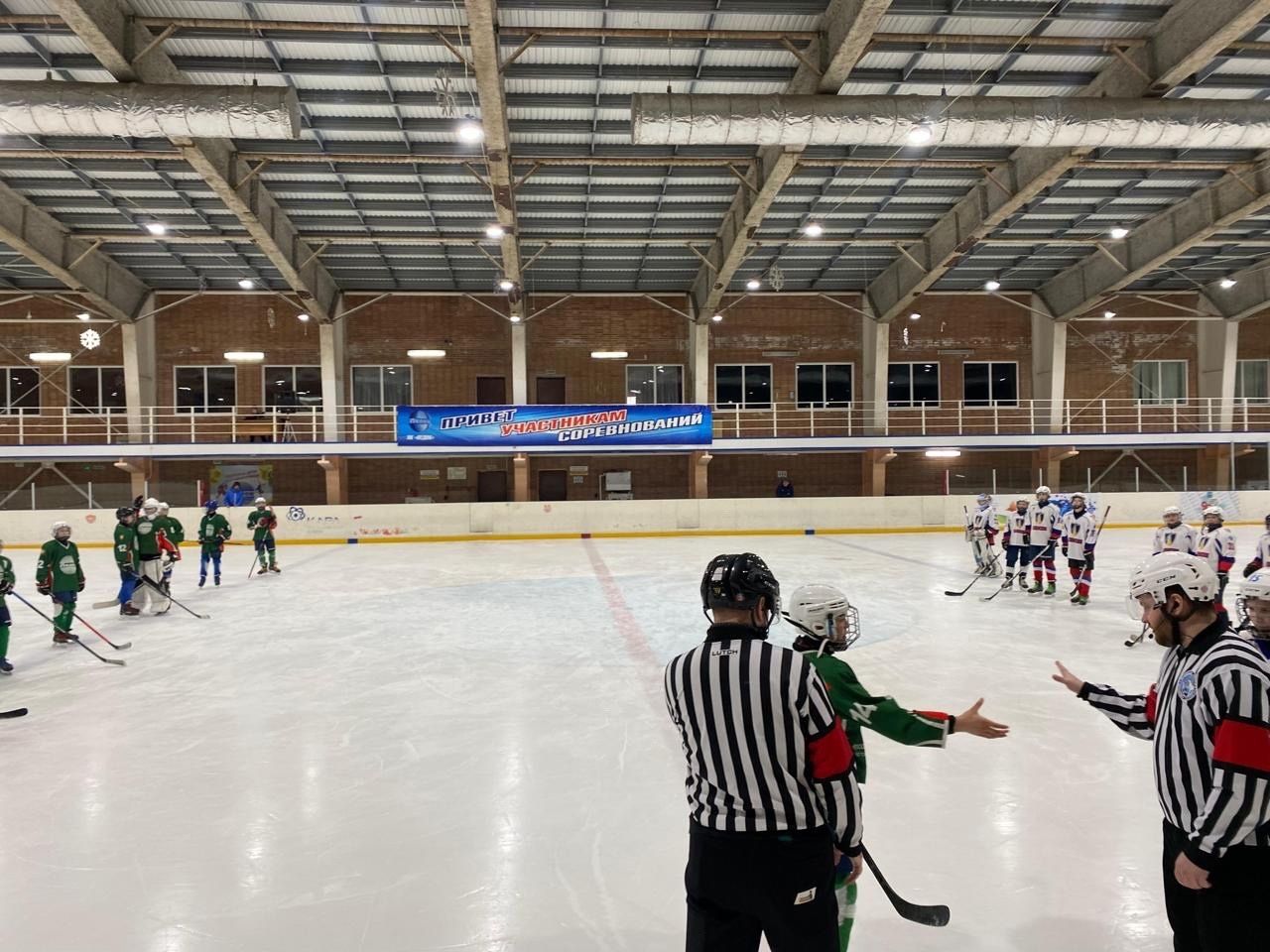 Хоккейная команда «Ледок» одержала победу в первенстве республики