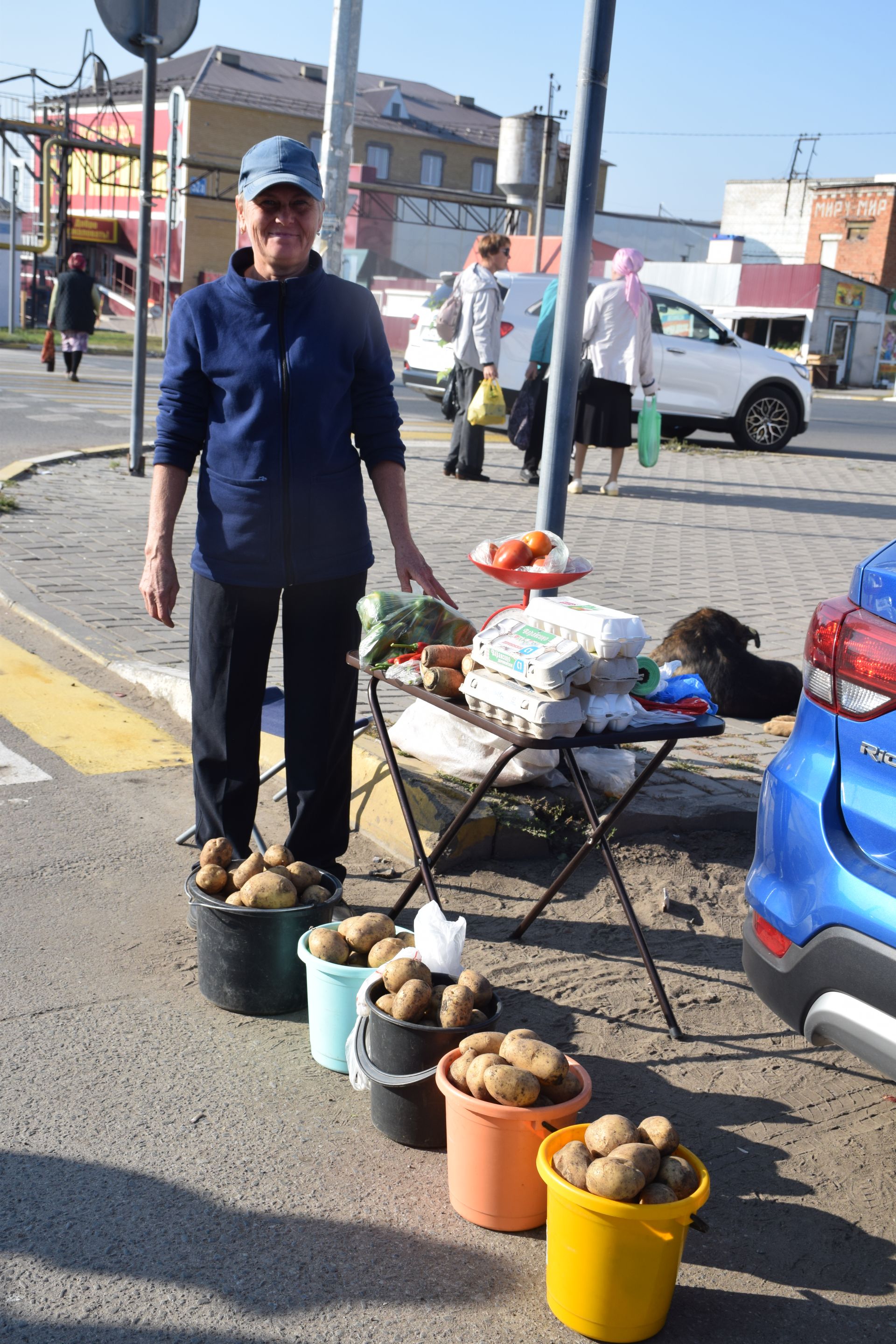 В Нурлате в Единый день голосования организовали сельскохозяйственную ярмарку