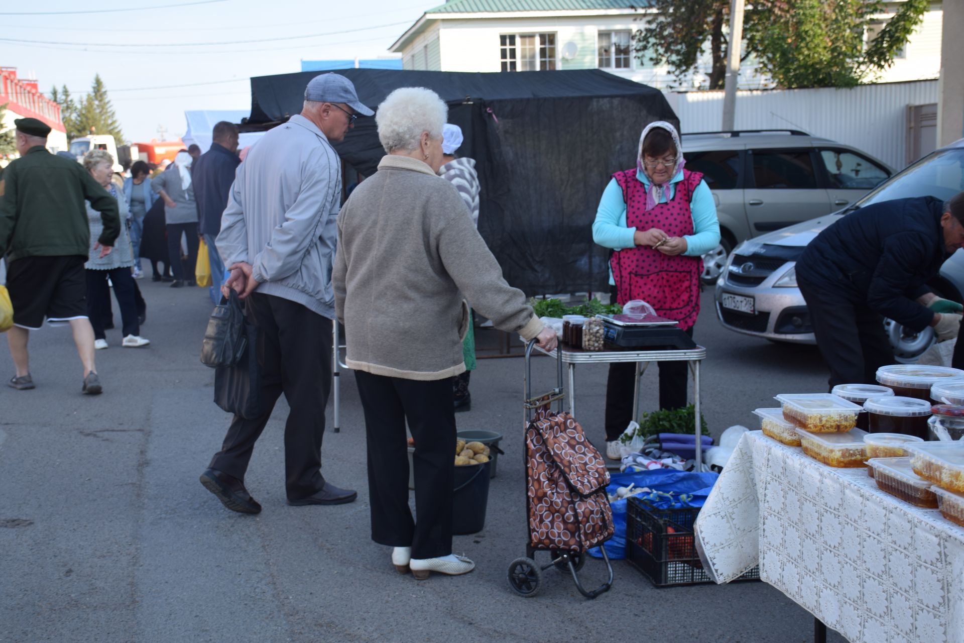 В Нурлате в Единый день голосования организовали сельскохозяйственную ярмарку