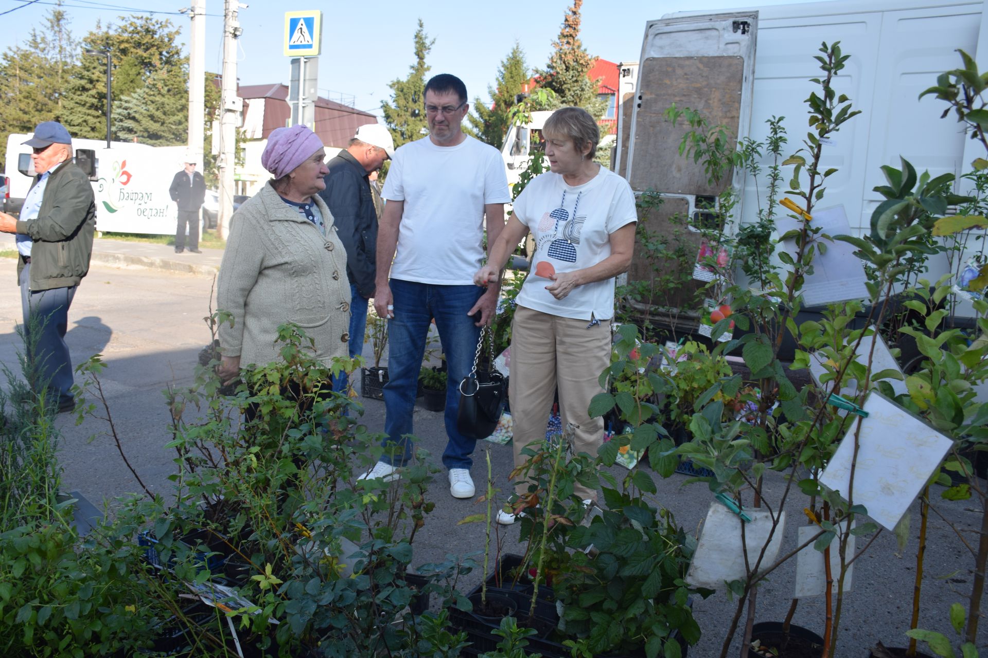 В Нурлате в Единый день голосования организовали сельскохозяйственную ярмарку