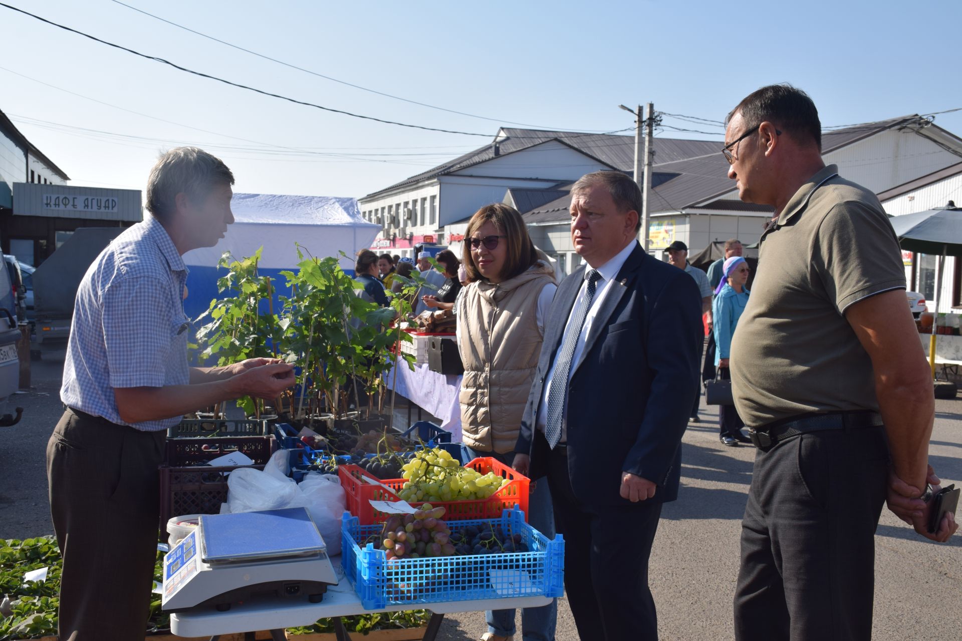 В Нурлате в Единый день голосования организовали сельскохозяйственную ярмарку