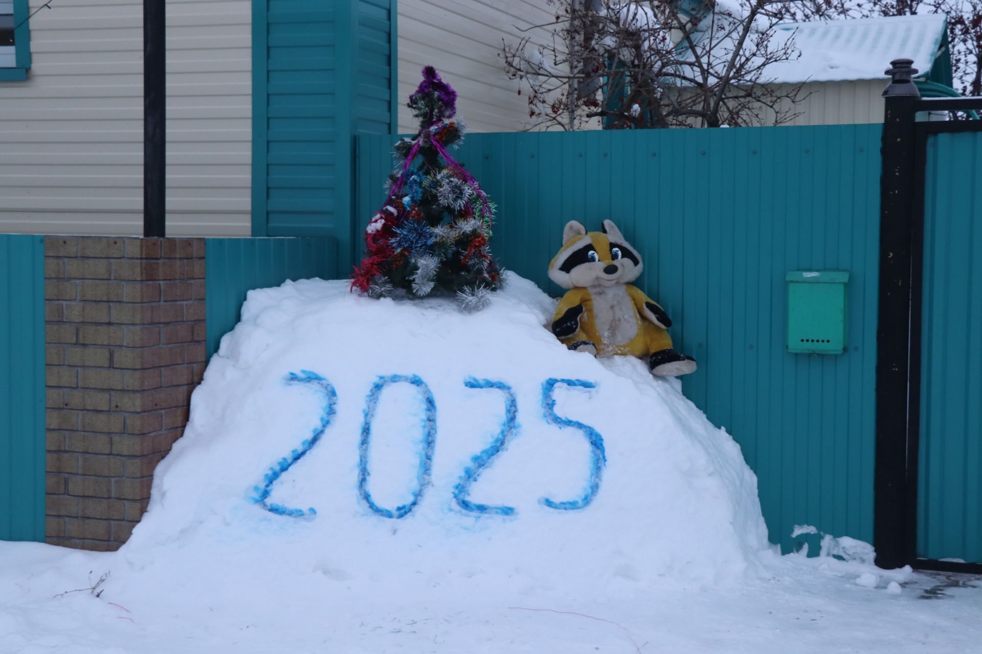 На придомовой территории семьи Салаховых из села Степное Озеро заметили Деда Мороза и Снегурочку