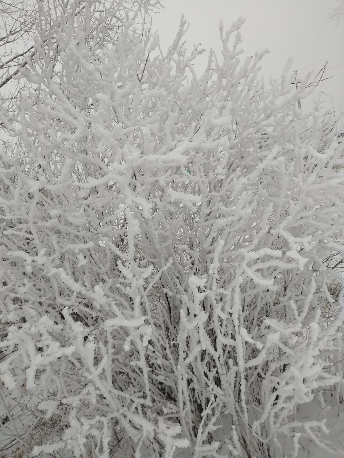 Мороз до -21˚ ожидается ночью в Нурлате