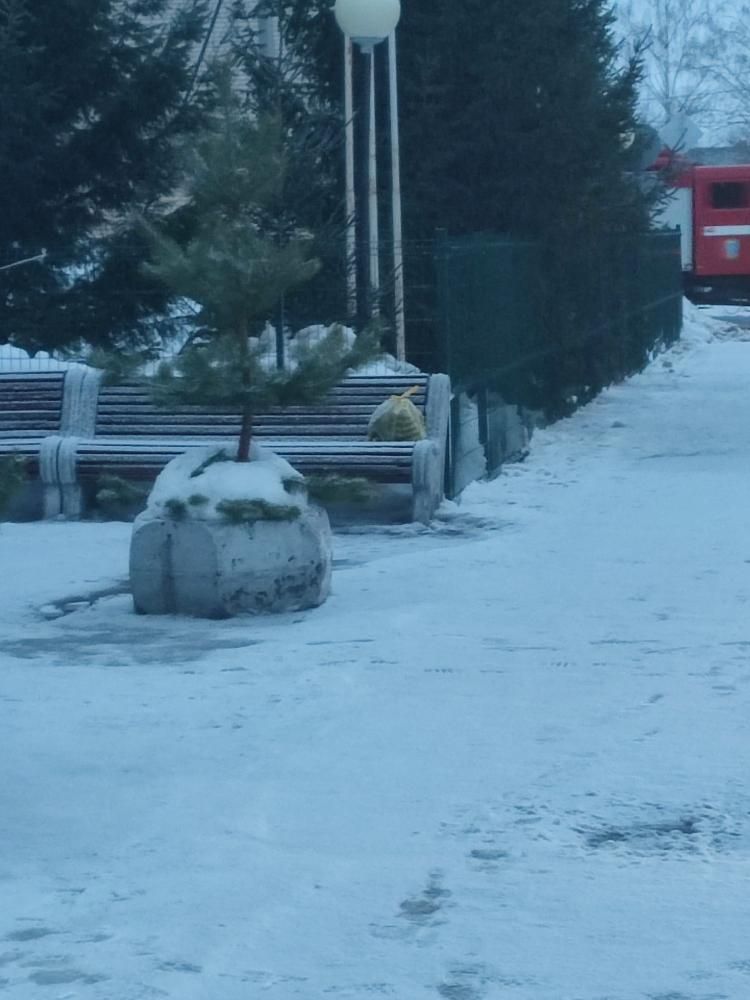 В Нурлате пожарные, полиция и «скорая» выехали по тревожному звонку