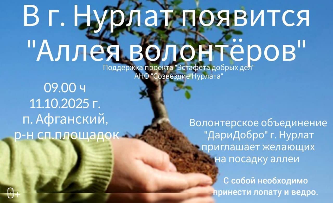 Посадка «Аллеи волонтёров» в Нурлате: присоединяйтесь к доброму делу 11 октября