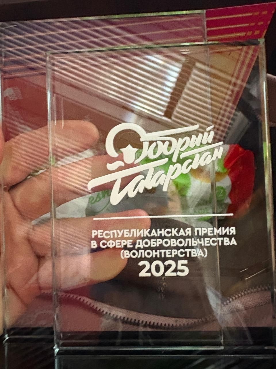 Люция Фатыхова — лучший «серебряный» волонтёр Татарстана