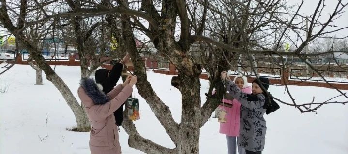 Юные экологи Мамыковской школы открыли зимнюю «столовую» для пернатых