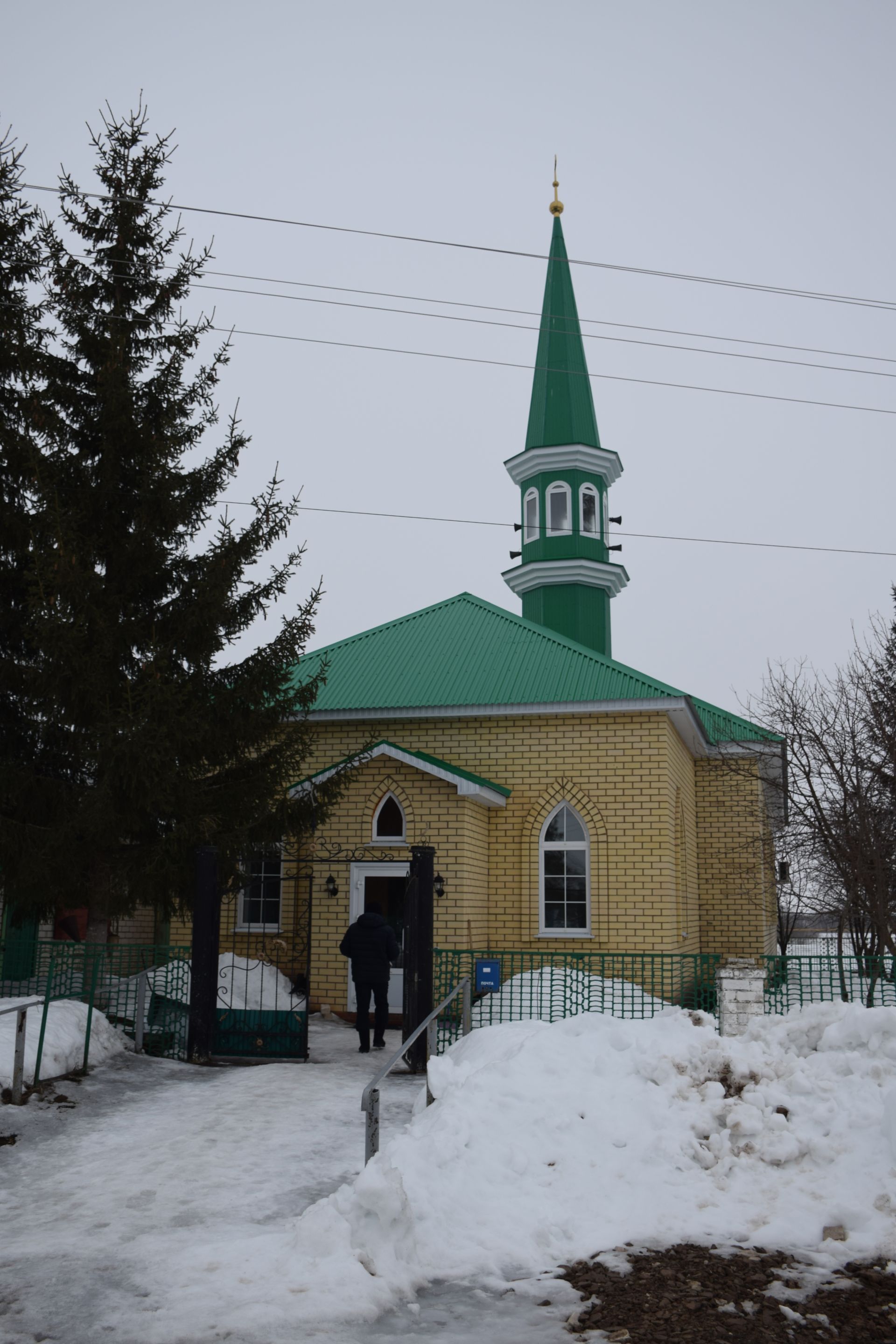 Минталип Минеханов провел традиционный коллективный ифтар для жителей родного села