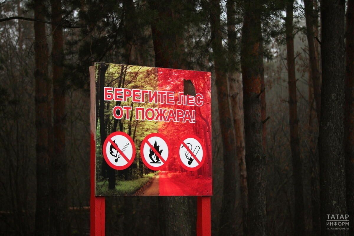 В Татарстане зафиксировали резкий рост пожароопасных ситуаций у лесных массивов
