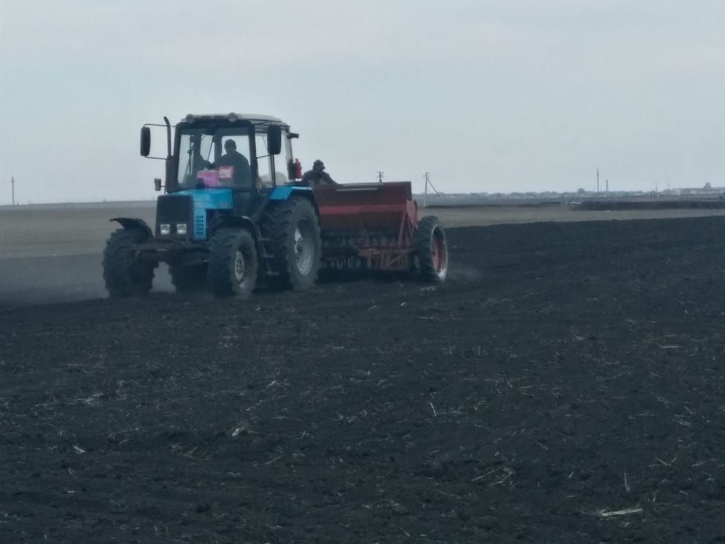 На полях Нурлатского района продолжается сев яровых культур